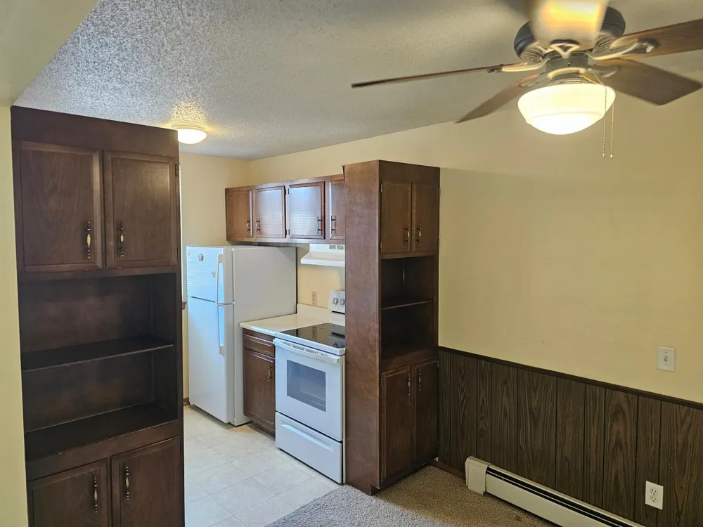 2011 Viking Drive NW #15 Rochester, MN 55901