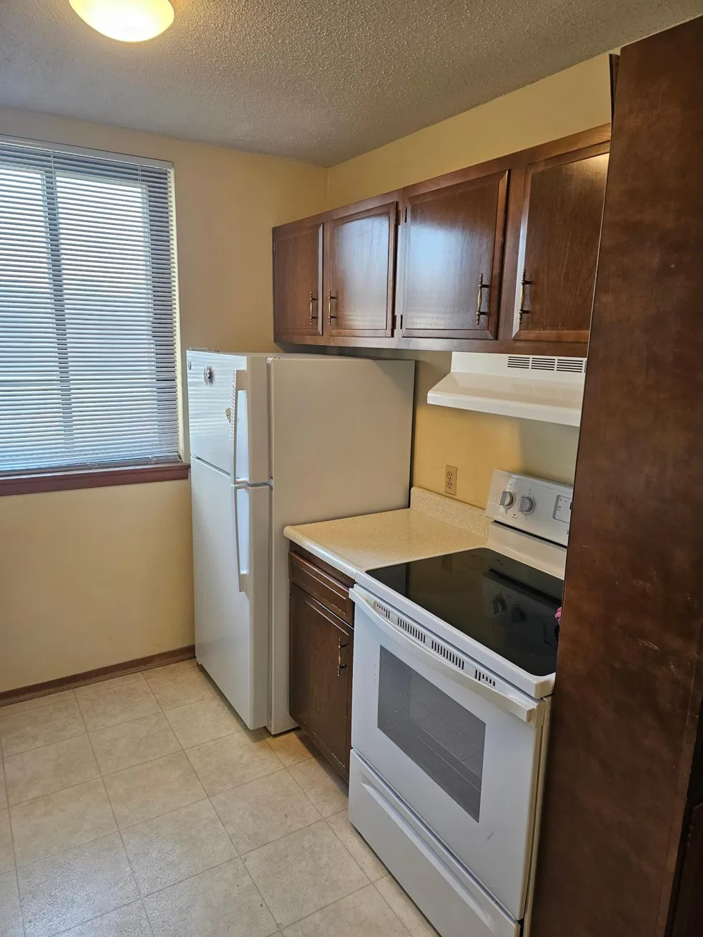 2011 Viking Drive NW #15 Rochester, MN 55901