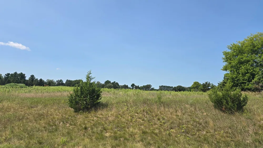 19xxx Tamarack Street NW Oak Grove, MN 55011