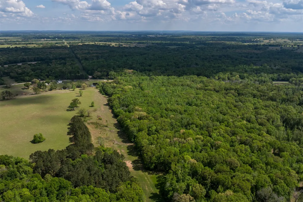 3672 FM 1861 Athens, TX 75752