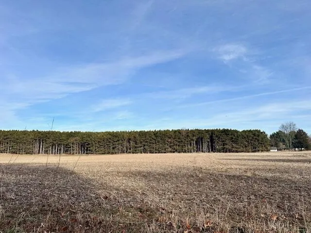Seymour Road #Parcel F Grass Lake, MI 49240