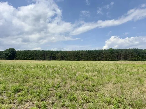 Seymour Road #Parcel F