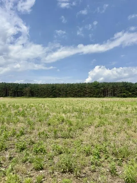 Seymour Road #Parcel F Grass Lake, MI 49240