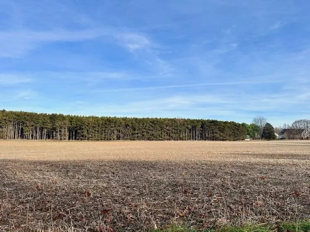 Seymour #E Road Grass Lake, MI 49240