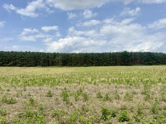Seymour #E Road Grass Lake, MI 49240