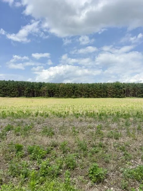 Seymour #E Road Grass Lake, MI 49240