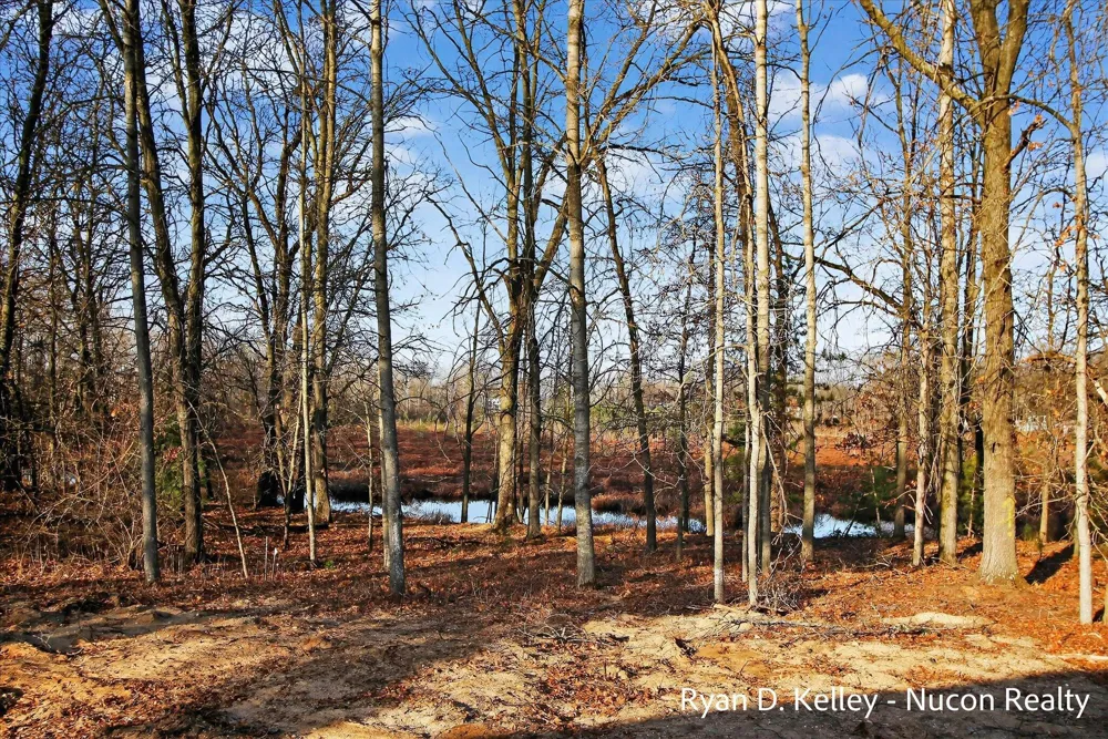 8411 Peninsula Drive W Stanwood, MI 49346
