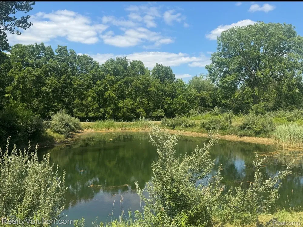 1278 Van Dyke Road Goodland Township, MI 48444