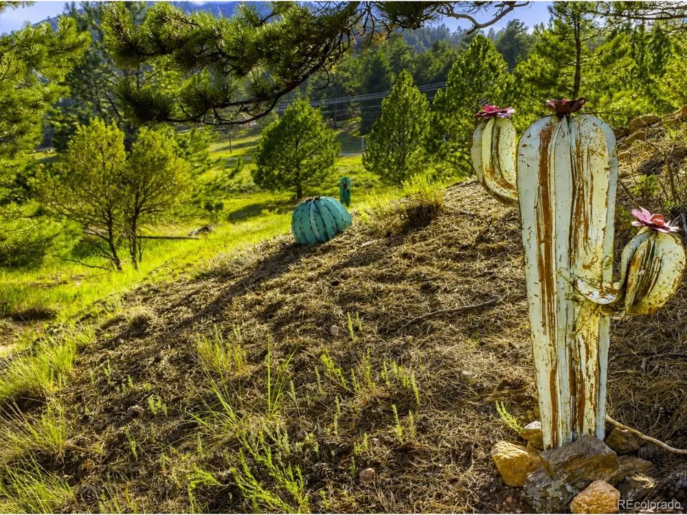 120 2nd Street Guffey, CO 80820