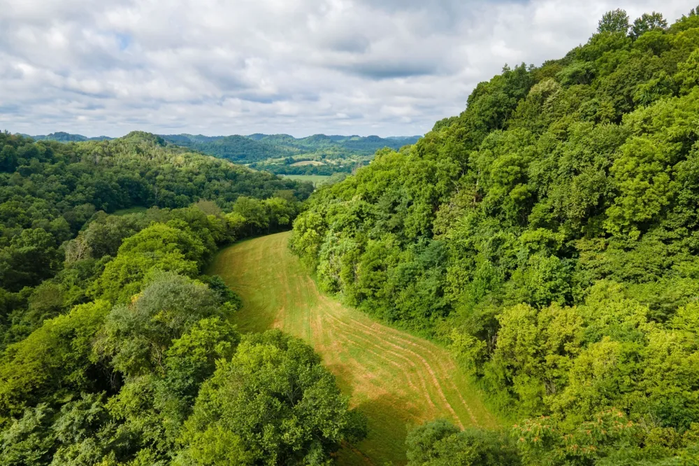 193 Dixon Ln Pleasant Shade, TN 37145