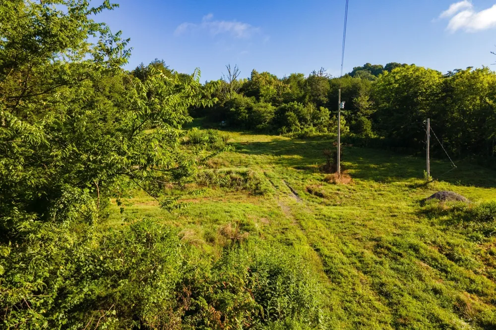 193 Dixon Ln Pleasant Shade, TN 37145
