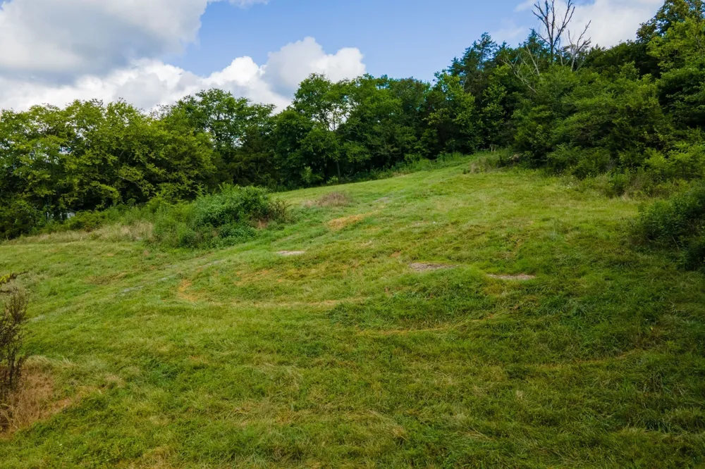 193 Dixon Ln Pleasant Shade, TN 37145