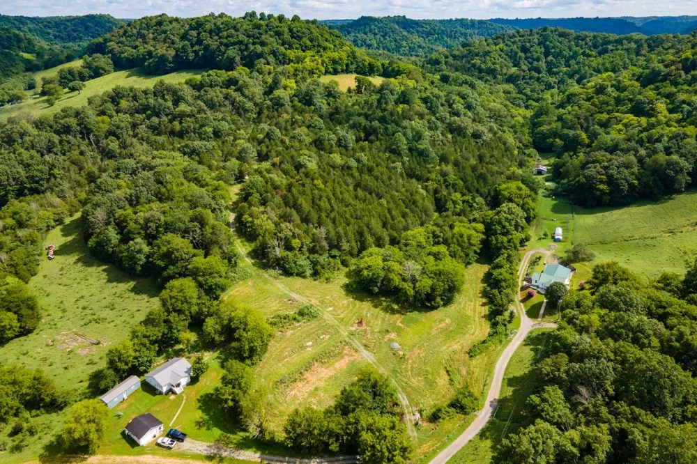 193 Dixon Ln Pleasant Shade, TN 37145