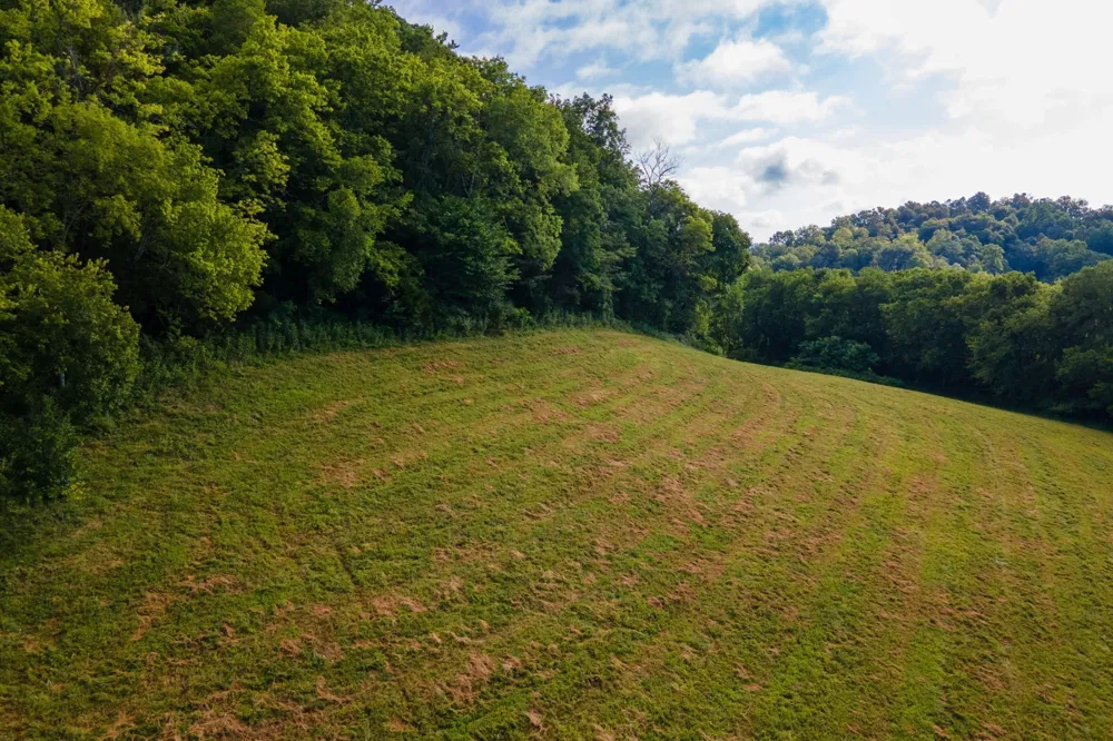 193 Dixon Ln Pleasant Shade, TN 37145