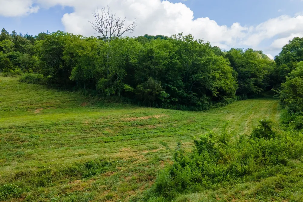 193 Dixon Ln Pleasant Shade, TN 37145