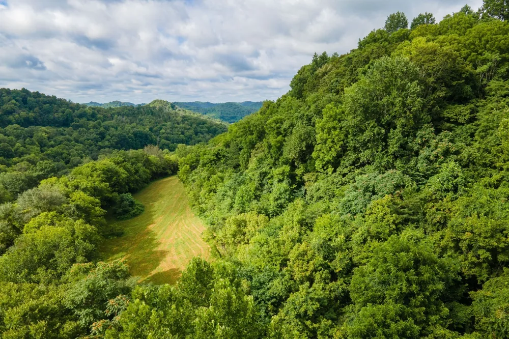 193 Dixon Ln Pleasant Shade, TN 37145