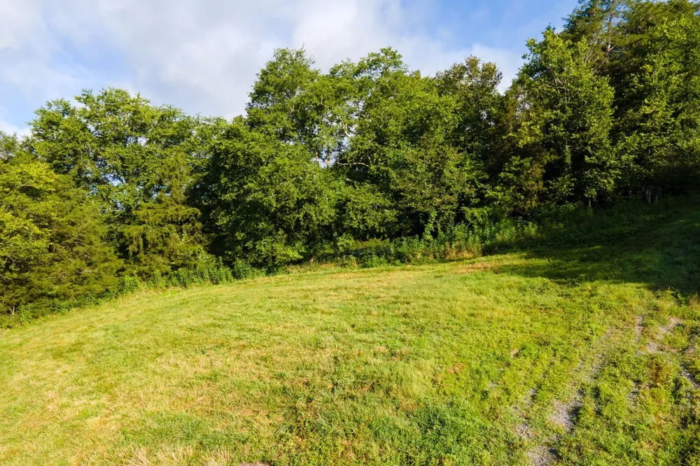 193 Dixon Ln Pleasant Shade, TN 37145
