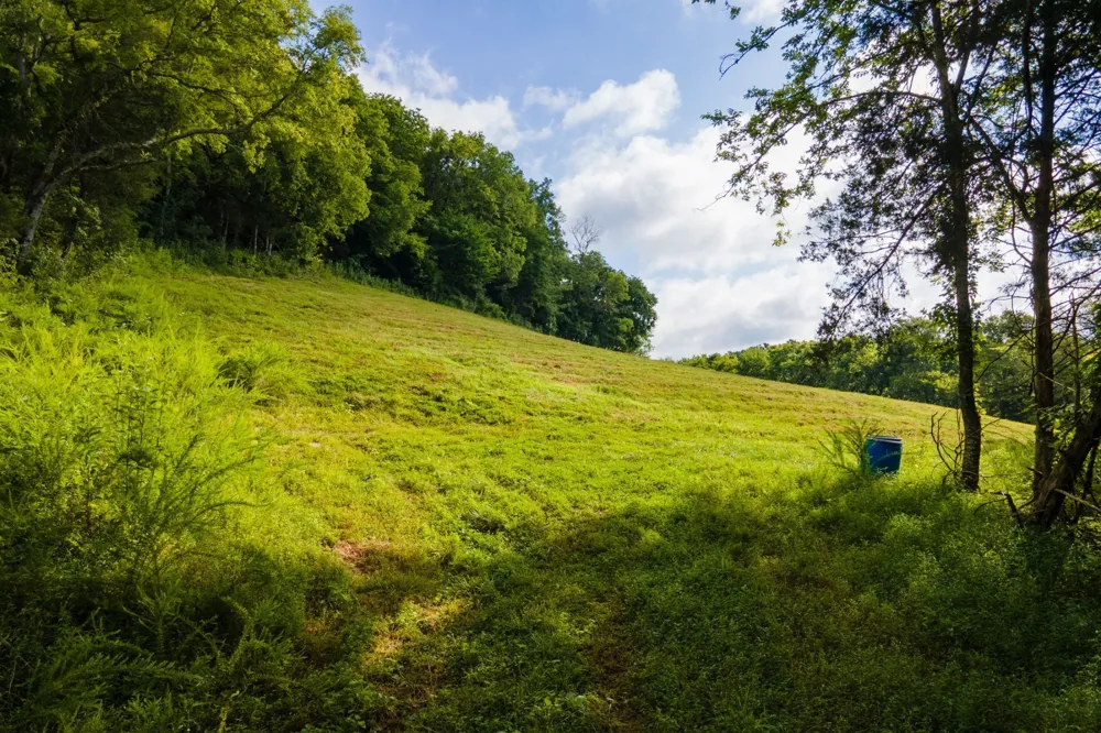 193 Dixon Ln Pleasant Shade, TN 37145
