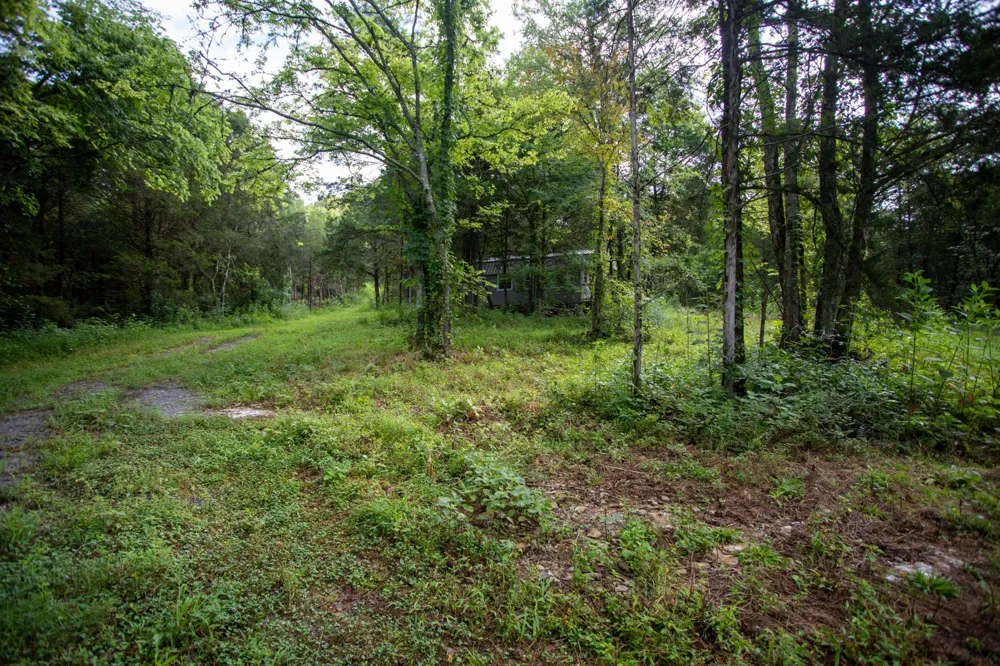 193 Dixon Ln Pleasant Shade, TN 37145