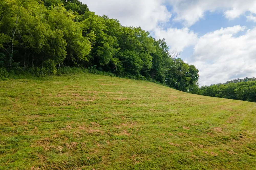 193 Dixon Ln Pleasant Shade, TN 37145