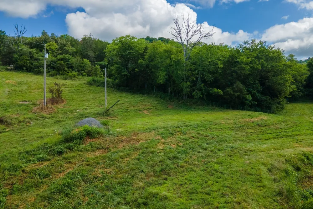 193 Dixon Ln Pleasant Shade, TN 37145
