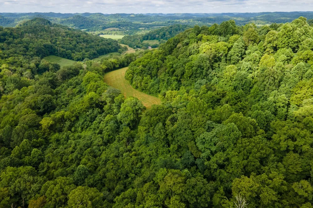 193 Dixon Ln Pleasant Shade, TN 37145