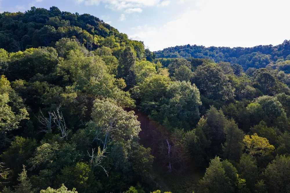 193 Dixon Ln Pleasant Shade, TN 37145