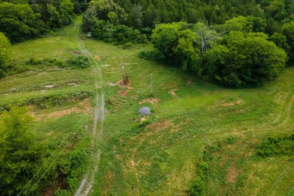 193 Dixon Ln Pleasant Shade, TN 37145