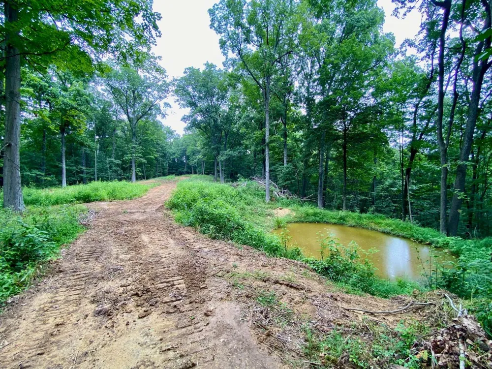 206 Thelma Lane Blue Creek, OH 45616