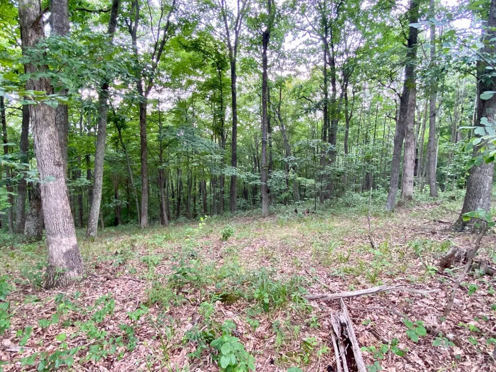 206 Thelma Lane Blue Creek, OH 45616