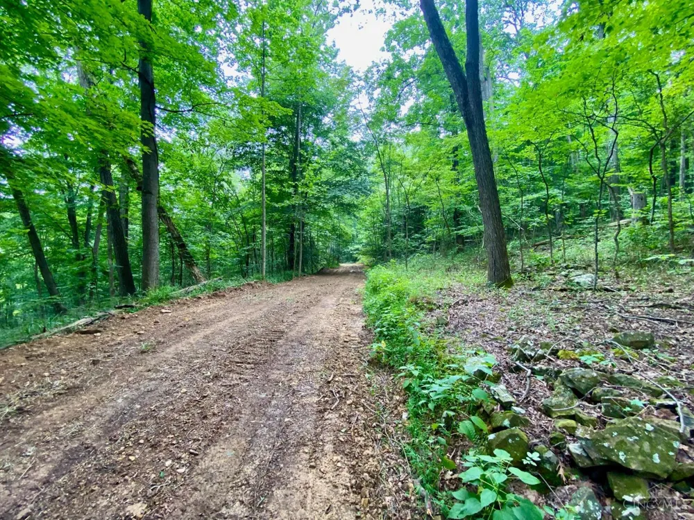 206 Thelma Lane Blue Creek, OH 45616