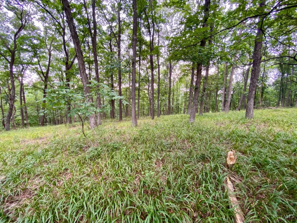 206 Thelma Lane Blue Creek, OH 45616