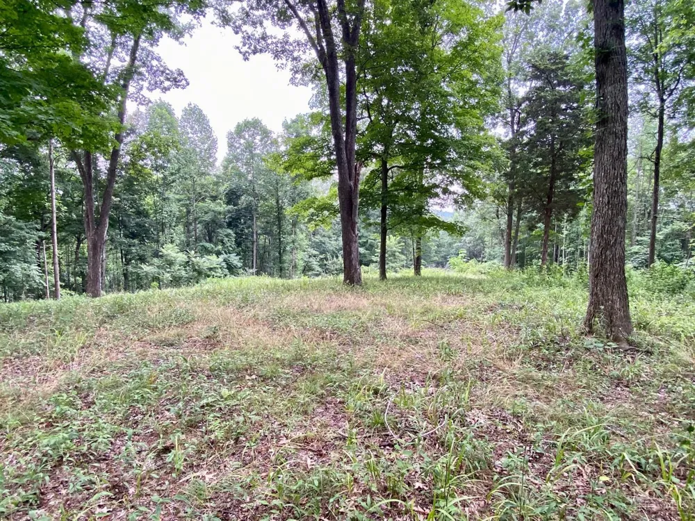 206 Thelma Lane Blue Creek, OH 45616