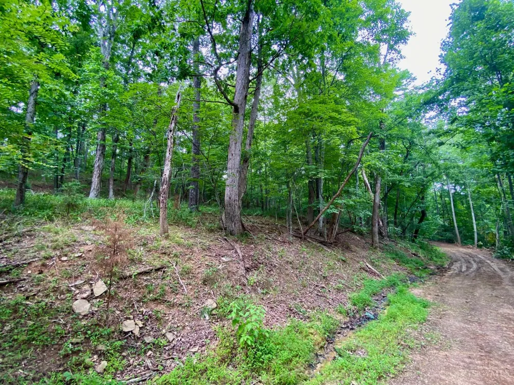 206 Thelma Lane Blue Creek, OH 45616