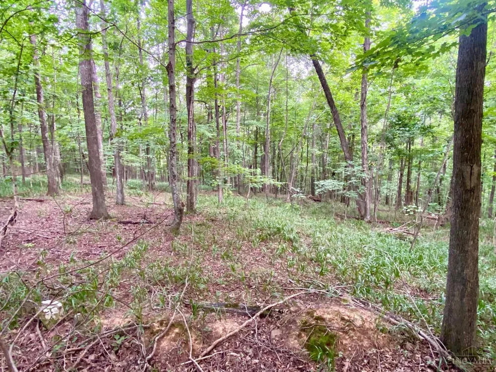 206 Thelma Lane Blue Creek, OH 45616