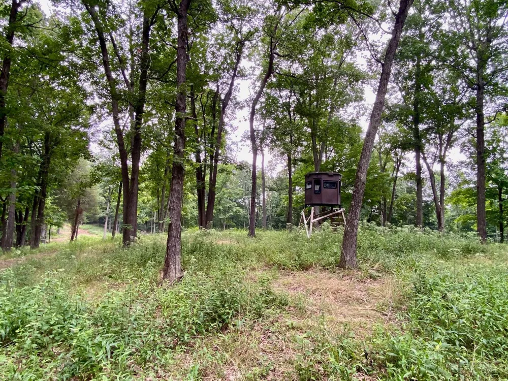 206 Thelma Lane Blue Creek, OH 45616