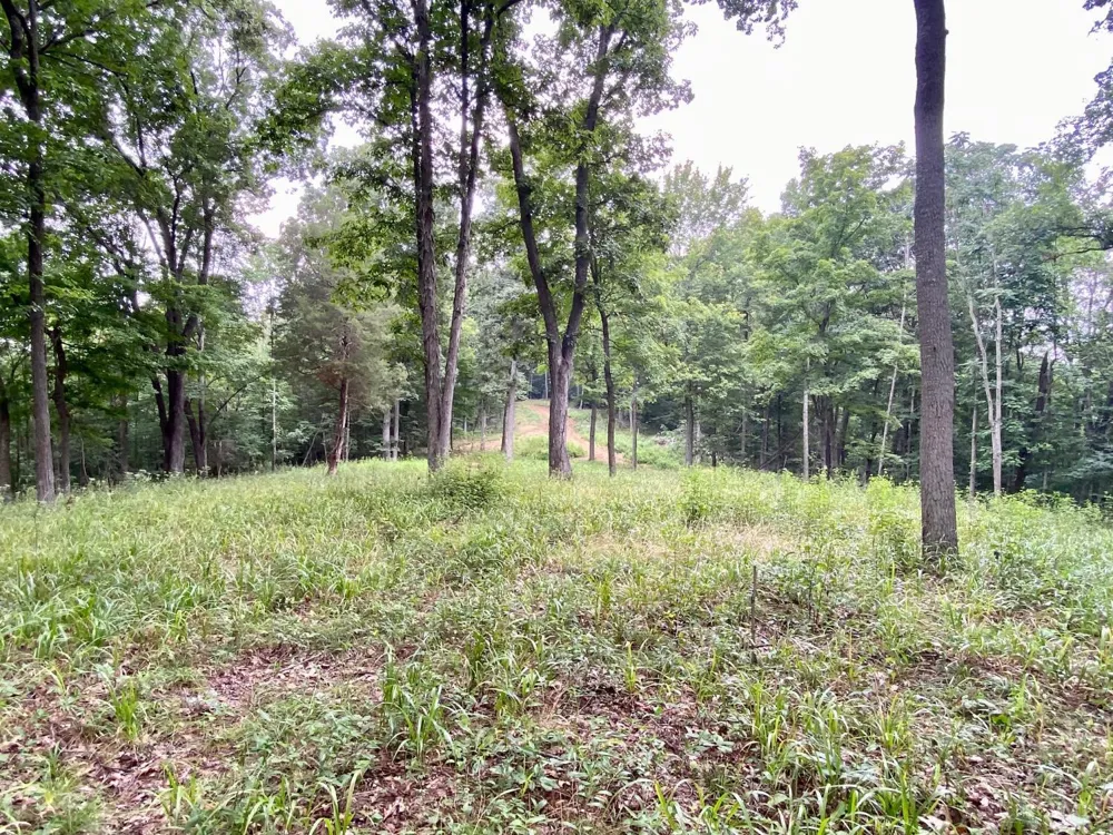 206 Thelma Lane Blue Creek, OH 45616