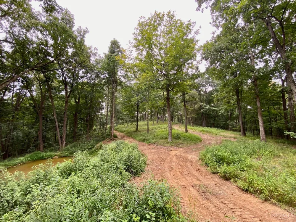 206 Thelma Lane Blue Creek, OH 45616