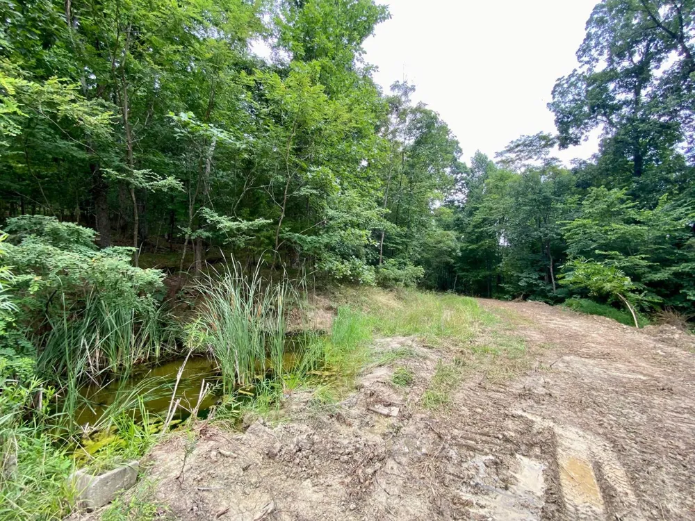 206 Thelma Lane Blue Creek, OH 45616