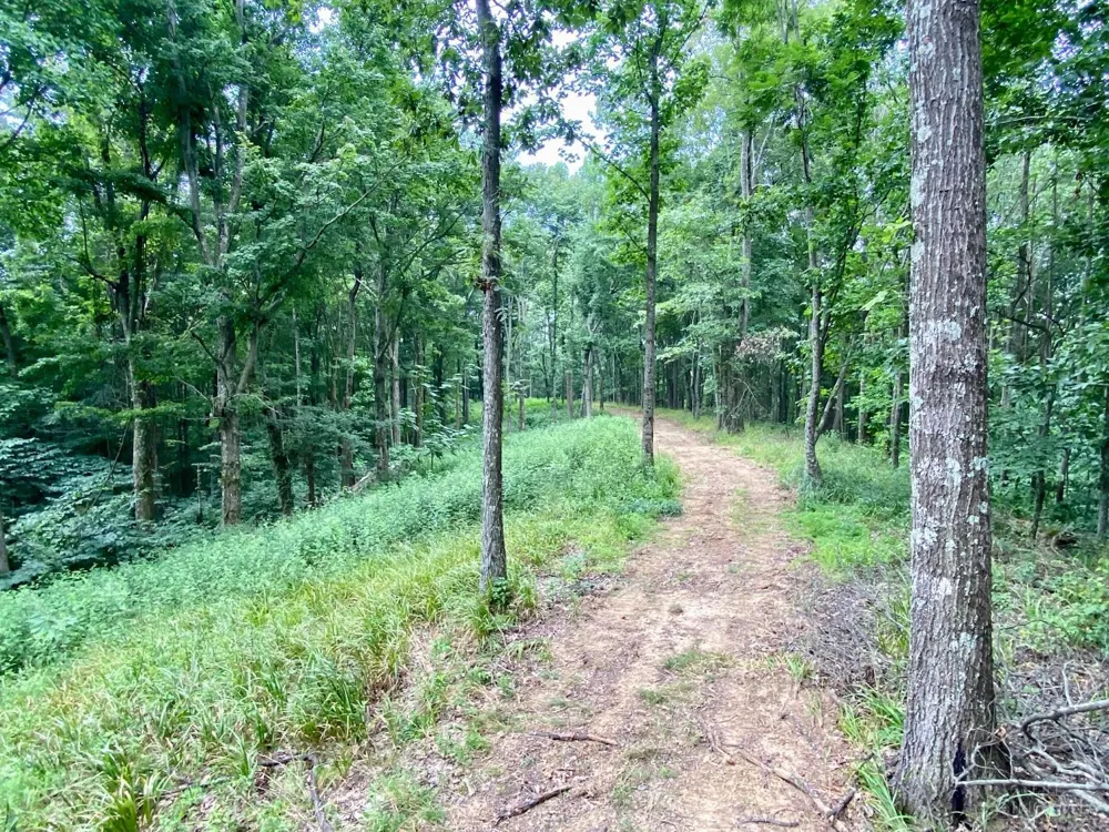 206 Thelma Lane Blue Creek, OH 45616