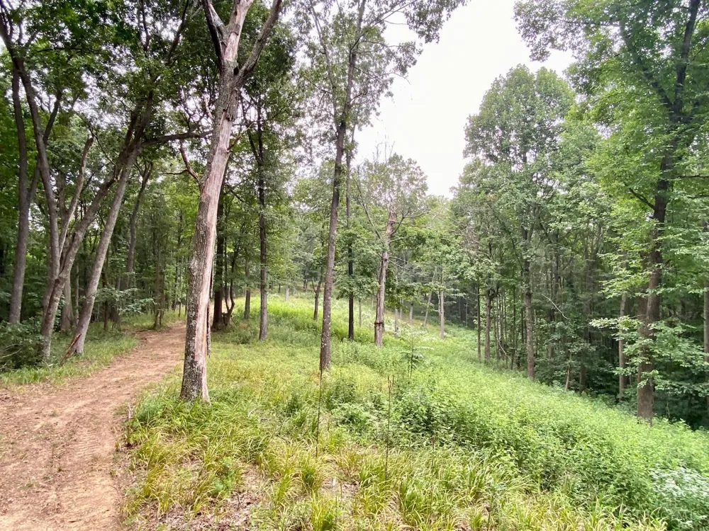 206 Thelma Lane Blue Creek, OH 45616