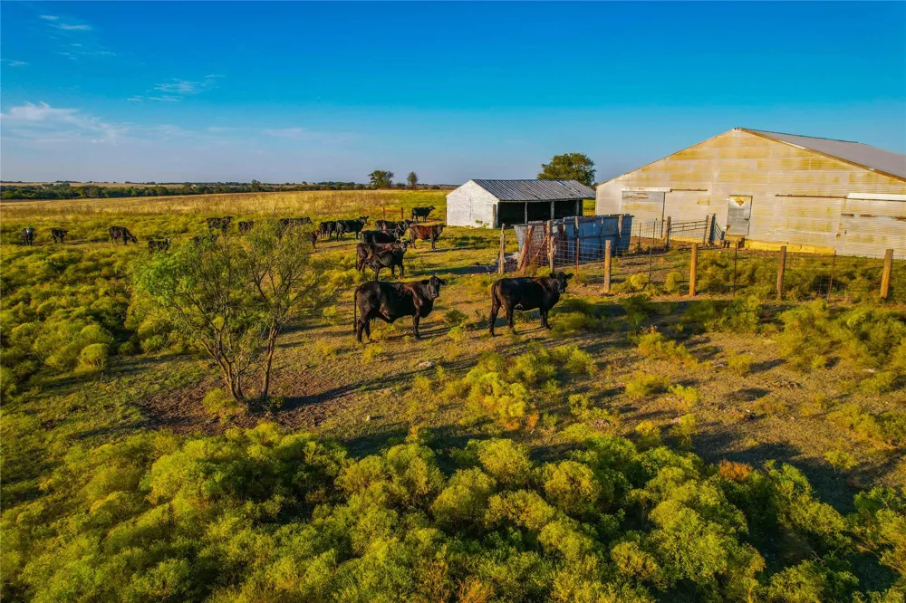 County Road 262 Gatesville, TX 76528
