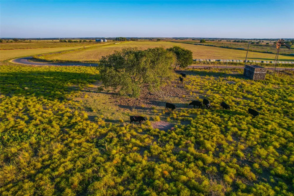 County Road 262 Gatesville, TX 76528