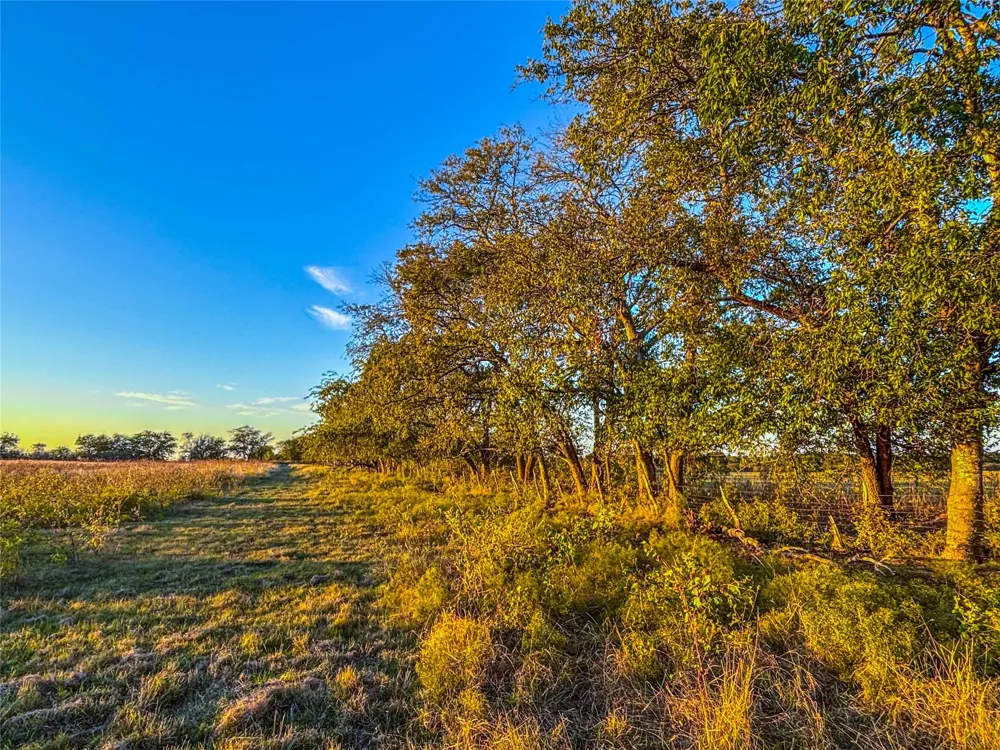 County Road 262 Gatesville, TX 76528