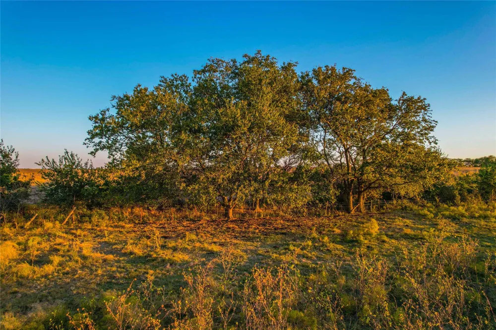 County Road 262 Gatesville, TX 76528