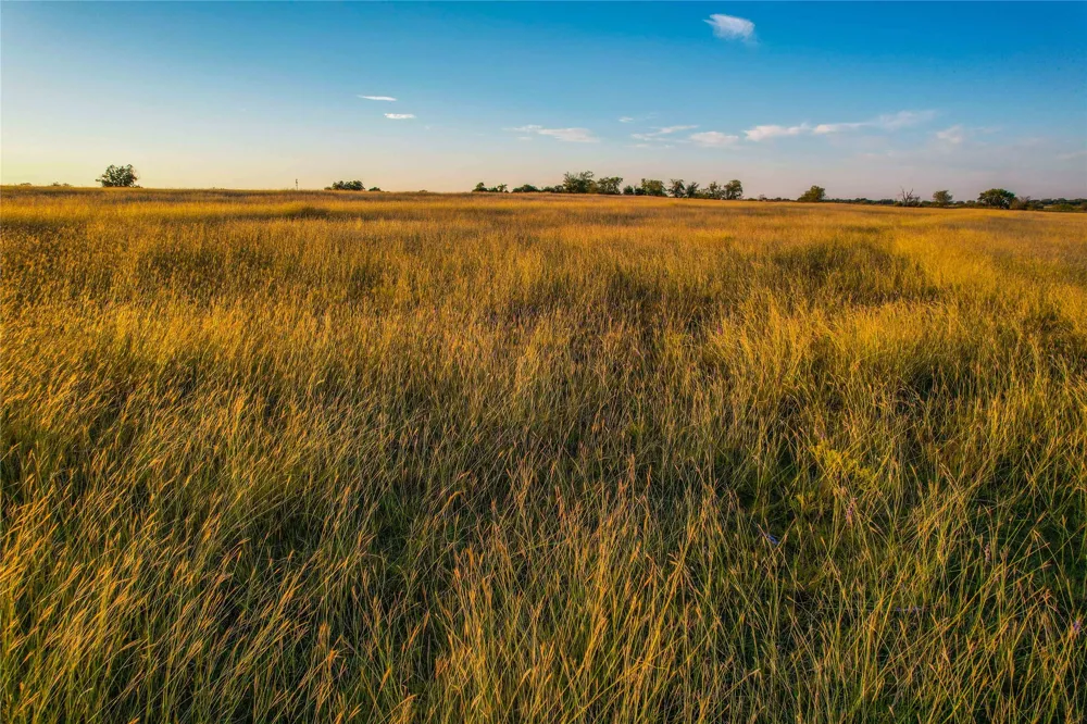 CR 262 Gatesville, TX 76528