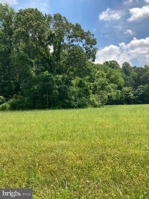 PROSPECT HILL ROAD Montross, VA 22520