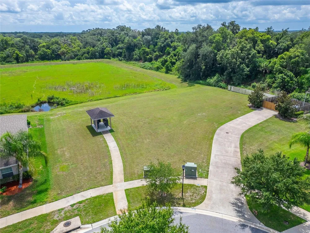 215 ENGLISH HERITAGE PLACE Dover, FL 33527