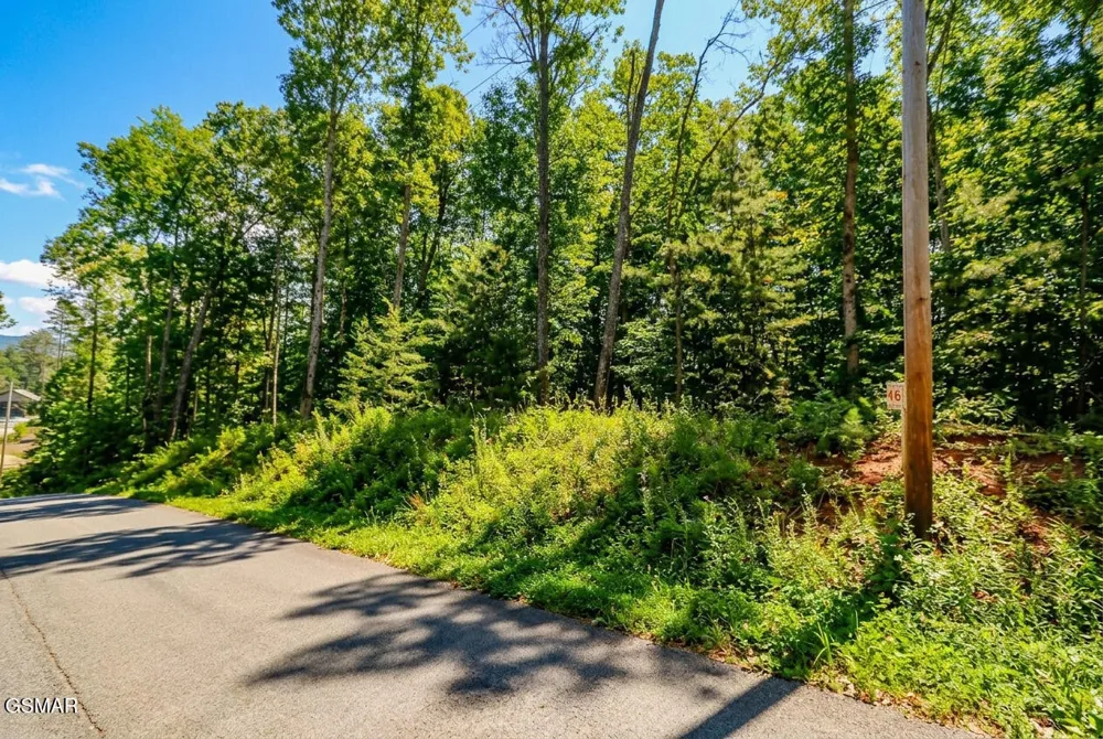 1413 Timber Trail Newport, TN 37821