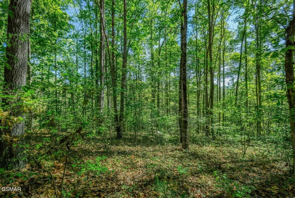 1413 Timber Trail Newport, TN 37821
